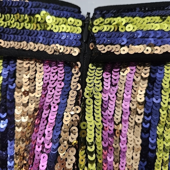 Rasario Multicolor Striped Sequin Straight Leg Pants - Picture 8 of 12